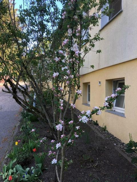 Feriendorf Waldfrieden Suhl Ngoại thất bức ảnh